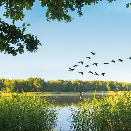 Tatil parkı Landal De Reeuwijkse Plassen Reeuwijk