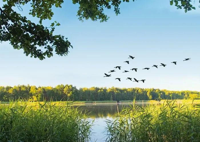 منتزه العطل Landal De Reeuwijkse Plassen Reeuwijk