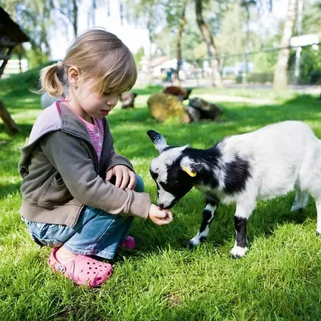 Holiday park Landal De Reeuwijkse Plassen
