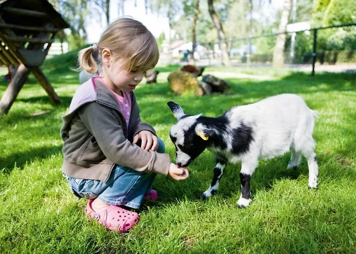 Ferienpark Landal De Reeuwijkse Plassen